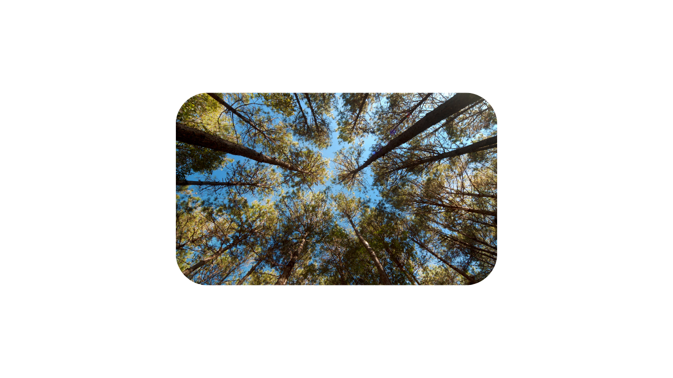 Un appareil d'oxygénation cellulaire