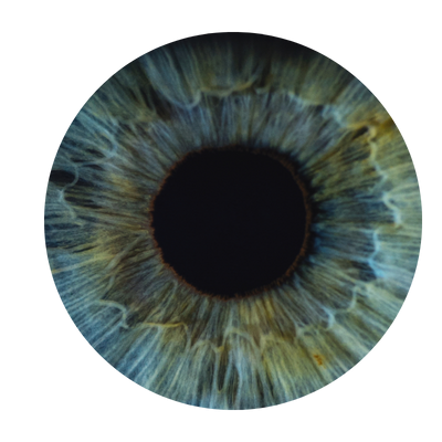 Un outil compl&eacute;mentaire